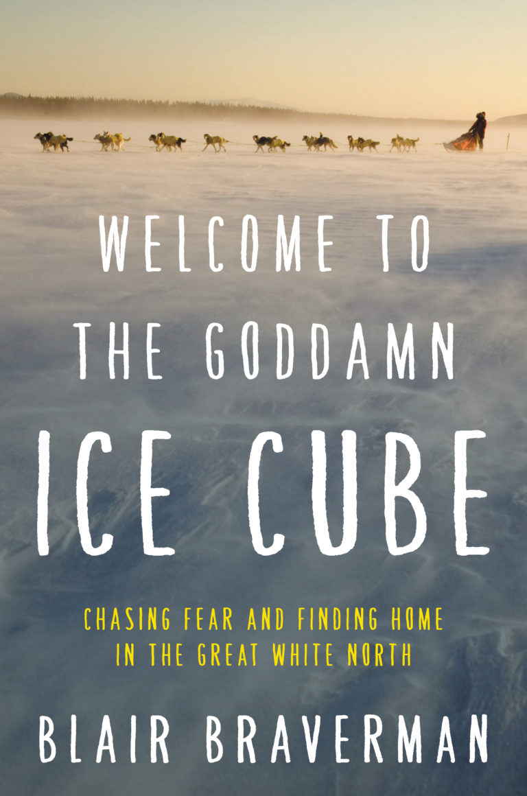 A book cover with the title " welcome to the goddamn ice cube ".